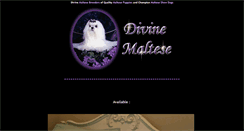 Desktop Screenshot of divinemaltese.com