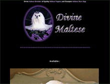 Tablet Screenshot of divinemaltese.com